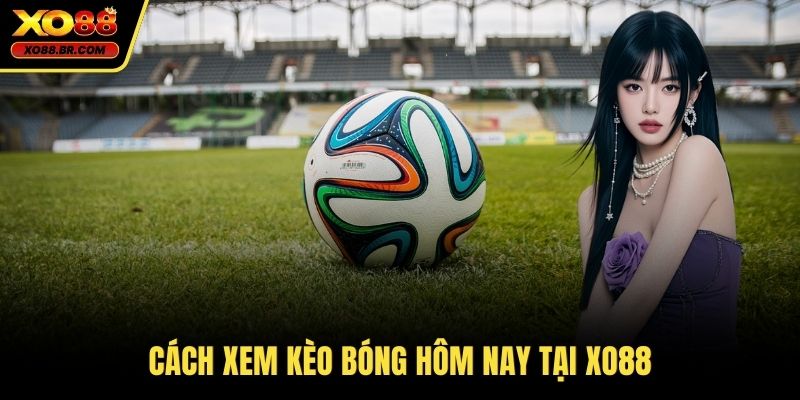 Cách xem kèo bóng hôm nay tại XO88