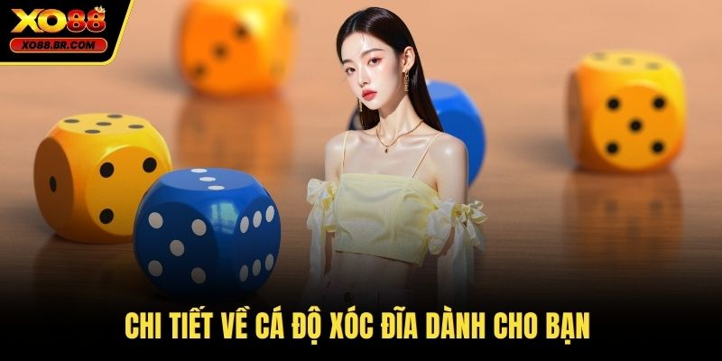 Chi tiết về cá độ xóc đĩa dành cho bạn