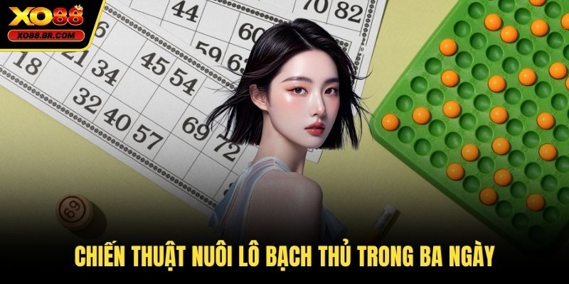 Chiến thuật nuôi lô bạch thủ trong ba ngày