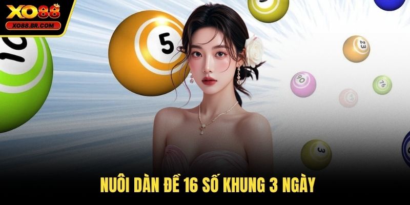 Nuôi dàn đề 16 số khung 3 ngày