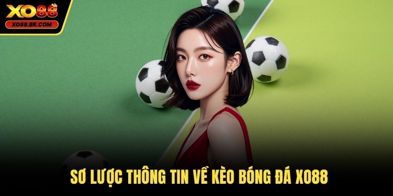 Sơ lược thông tin về kèo bóng đá XO88